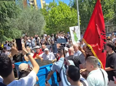 Protestuesit “vulosin” Kuvendin: “Parlament i krimit”, sjellin një kosh mbeturinash