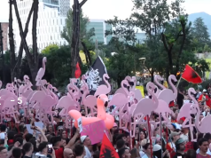 Flamingo, dhi dhe pensionistë në protestë, tubimi mbyllet me marshim në kryeqytet