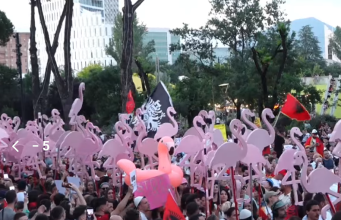 Flamingo, dhi dhe pensionistë në protestë, tubimi mbyllet me marshim në kryeqytet