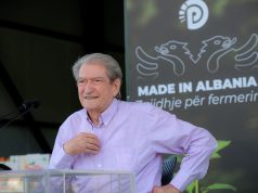 Kreu i PD thotë se parullat “Berisha në burg” nxiten nga opozita e opozitës