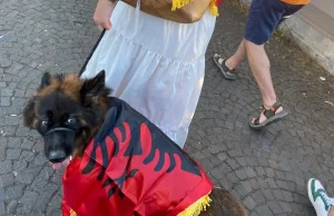 Qeni patriot në protestë