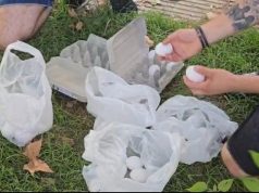 Revolucioni i proteinave, protestuesit shfaqen me vezë në duar