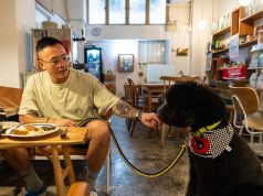 Hong Kong bën kthesën historike: Qentë lejohen zyrtarisht në restorante