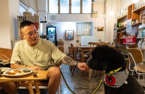 Hong Kong bën kthesën historike: Qentë lejohen zyrtarisht në restorante