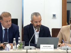Celibashi kërkon rregulla më të forta për ndarjen mes shtetit dhe partisë në pushtet