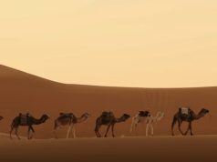 As devetë nuk po e durojnë dot më vapën! Ndryshimet klimatike godasin edhe “anijet e shkretëtirës”, alarm për Afrikën
