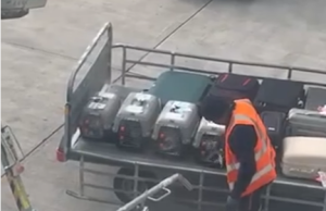 Punonjësi i aeroportit në Athinë prek zemrat me kujdesin ndaj kafshëve të shpëtuara