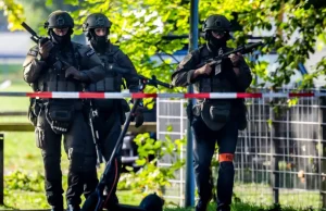 Masakër në festën “rave” në Zvicër, vritet 22-vjeçarja dhe plagosen pesë të rinj