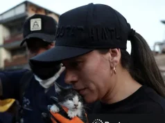 Video/ Mrekulli mes rrënojave. Pas 12 orësh kërkime, shpëtohet një kotele nga tërmeti në Kolumbi