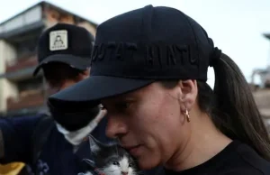 Video/ Mrekulli mes rrënojave. Pas 12 orësh kërkime, shpëtohet një kotele nga tërmeti në Kolumbi