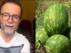 Shalqiri blihet 6 lekë dhe shitet 30, Braçe shpërthen ndaj tregtarëve