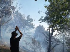 Zjarret nuk ndalen/ 7 vatra ende aktive, avionë e helikopterë në luftë me flakët