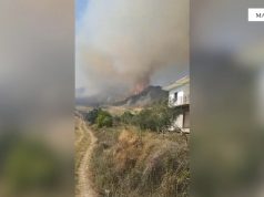 Zjarri rrezikon banesat në Mallakastër, evakuohen disa familje në Koilac