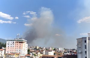 Zjarr i madh në Daias të Tiranës, tymi mbulon zonën/ Zjarrfikësit dhe helikopteri në luftë me flakët