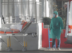 Shpërthen epidemia e etheve të Nilit Perëndimor në Shkup, 29 të shtruar dhe një viktimë