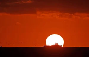 Oqeanet arrijnë temperaturën më të lartë të regjistruar, El Niño pritet ta përkeqësojë situatën