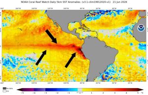 El Niño mund të jetë më i fuqishmi në historinë moderne, alarm për mot ekstrem: 2027 pritet të thyejë rekordet e temperaturave