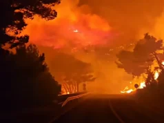 Skena apokaliptike në Kroaci/ Zjarri shkrumbon shtëpi e makina, banorë dhe turistë evakuohen