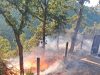 Shqipëria në luftë me flakët/ 31 vatra zjarri brenda ditës, 11 ende aktive! Ushtria, helikopterët dhe avionët në operacion