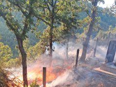 Shqipëria në luftë me flakët/ 31 vatra zjarri brenda ditës, 11 ende aktive! Ushtria, helikopterët dhe avionët në operacion