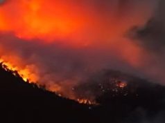 20 zjarre në një ditë/ 11 vatra mbeten aktive, beteja nga toka dhe ajri në Dajt, Kavajë e Lezhë