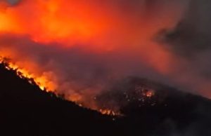 20 zjarre në një ditë/ 11 vatra mbeten aktive, beteja nga toka dhe ajri në Dajt, Kavajë e Lezhë
