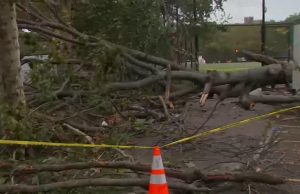 Stuhi e fortë godet Nju Jorkun, një viktimë dhe qindra fluturime të pezulluara