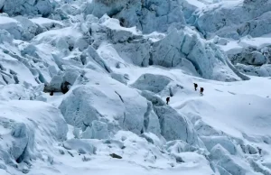 Edhe urina e alpinistëve po shkrin akullin e Everestit, studimi zbulon ndikimin e pazakontë