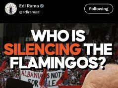 Rama reagon ndaj akuzave për “Flamingot”: Nuk kemi lidhje me bllokimin e llogarive në rrjetet sociale