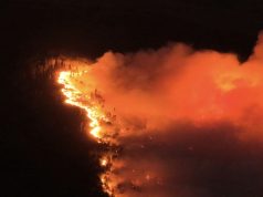 PAMJE TË FRIKSHME NGA PUKA/ Zjarri del jashtë kontrollit në Malin e Tërbunit, digjet një banesë