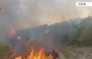 Zjarret në Fier, rrezikohen banesat/ Dy të arrestuar dhe një nën hetim për flakët në toka e ullishte