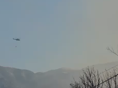 Natë tmerri në Himarë/ Flakët përpinë 7 banesa, turistët ikën me valixhe! Dy të moshuar shpëtuan nga zjarri