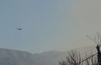 Natë tmerri në Himarë/ Flakët përpinë 7 banesa, turistët ikën me valixhe! Dy të moshuar shpëtuan nga zjarri