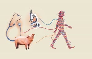 22 shtatori, dita evropiane kundër testeve te kafshët/ Inteligjenca artificiale dhe “organet në çip” hapin rrugën e re