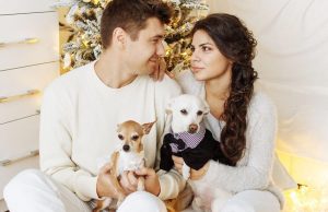 Më shumë të rinj zgjedhin kafshët në vend të fëmijëve, “pet parenting” kthehet në trend global