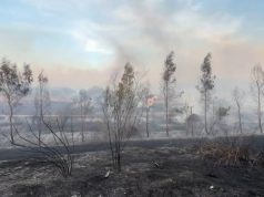 Levani nën hirin e zjarreve/ Flakët përfshijnë 6 fshatra, banorët humbin mundin e një jete: “Janë të qëllimshme”