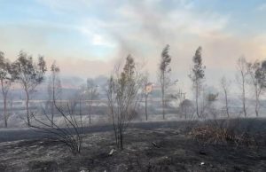Levani nën hirin e zjarreve/ Flakët përfshijnë 6 fshatra, banorët humbin mundin e një jete: “Janë të qëllimshme”