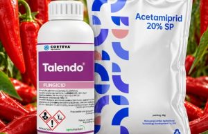 ALARM PËR SPECAT SHQIPTARË/ Kroacia asgjëson 14.7 tonë prodhim nga Fieri, analizat zbulojnë pesticidin që nuk lejohet te perimet