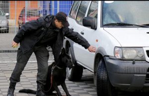 Alarm për bomba në institucionet shqiptare! Policia zbulon nga erdhi emaili kërcënues: Adresa i përket një institucioni në Arabinë Saudite