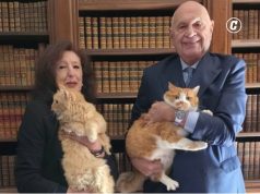 Ministri i Melonit gati të braktisë qeverinë për macet! Nordio rrëfen kush sundon në shtëpinë e tij: “Gruaja ime është po aq e fiksuar sa unë”