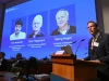 Nobeli i Mjekësisë për tre shkencëtarë/ Zbulimi që lejon “ndezjen dhe fikjen” e neuroneve me dritë