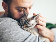 Përkëdhelja e maceve ul stresin dhe nxit hormonin e lumturisë, por shkencëtarët zbulojnë një detaj të rëndësishëm