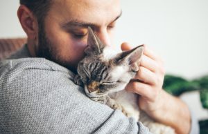 Përkëdhelja e maceve ul stresin dhe nxit hormonin e lumturisë, por shkencëtarët zbulojnë një detaj të rëndësishëm